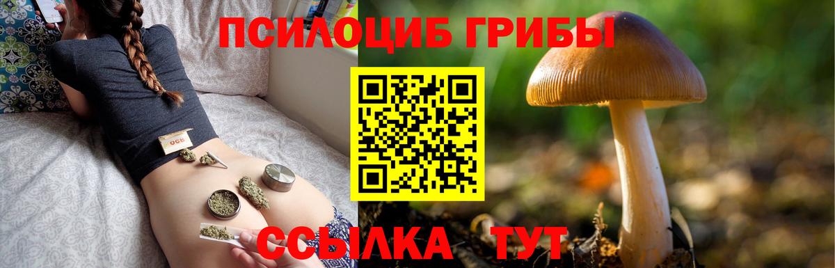Псилоцибиновые грибы Cubensis  Вход с VPN  Назарово 